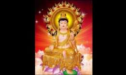 佛教视频,视频中的心灵启迪之旅