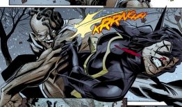 蝙蝠女漫画,黑暗中的守护者传奇