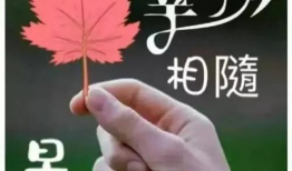 早安视频,开启美好一天的心灵之旅